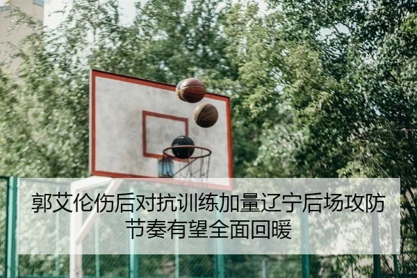 郭艾伦伤后对抗训练加量辽宁后场攻防节奏有望全面回暖（BAJIESPORTS）